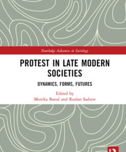 Protest in Late Modern Societies - 1st Edition