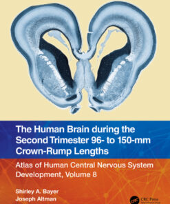 The Human Brain during the Second Trimester 96– to 150–mm Crown-Rump Lengths - 1st Edition