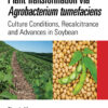 Plant Transformation via Agrobacterium Tumefaciens - 1st Edition