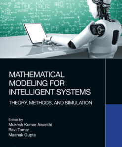 Mathematical Modeling for Intelligent Systems - 1st Edition