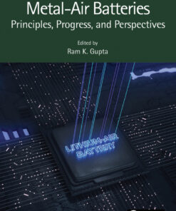 Metal-Air Batteries - 1st Edition