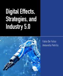 Digital Effects, Strategies, and Industry 5.0 - 1st Edition