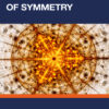 The Language of Symmetry - 1st Edition