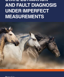 State Estimation and Fault Diagnosis under Imperfect Measurements - 1st Edition