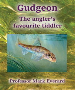 Gudgeon - 1st Edition