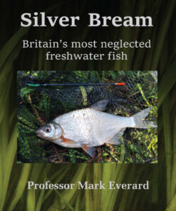 Silver Bream - 1st Edition