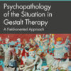 Psychopathology of the Situation in Gestalt Therapy - 1st Edition