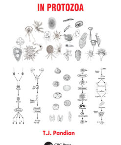 Evolution and Speciation in Protozoa - 1st Edition