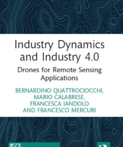 Industry Dynamics and Industry 4.0 - 1st Edition