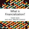What is Financialization? - 1st Edition