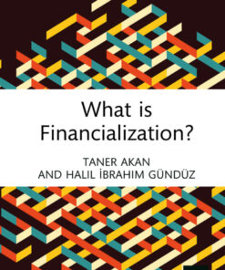 What is Financialization? - 1st Edition