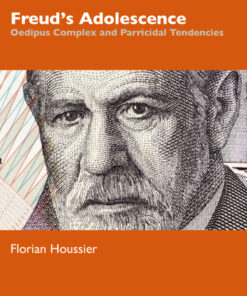 Freud's Adolescence - 1st Edition