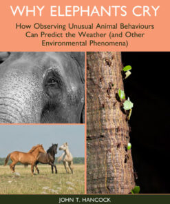 Why Elephants Cry - 1st Edition