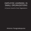 Employee Learning in Small Organizations - 1st Edition