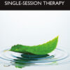 Brief Narrative Practice in Single-Session Therapy - 1st Edition