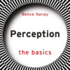 Perception: The Basics - 1st Edition