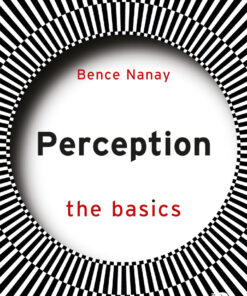 Perception: The Basics - 1st Edition