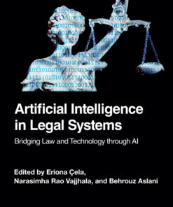 Artificial Intelligence in Legal Systems - 1st Edition