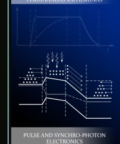 Pulse and Synchro-Photon Electronics - 1st Edition