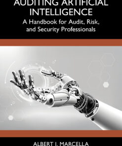 Auditing Artificial Intelligence - 1st Edition