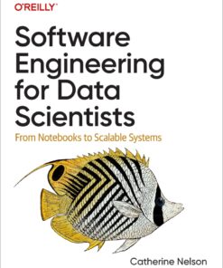 Software Engineering for Data Scientists - 1st Edition