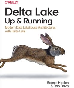 Delta Lake: Up and Running - 1st Edition