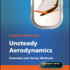 Unsteady Aerodynamics - 1st Edition