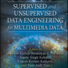 Supervised and Unsupervised Data Engineering for Multimedia Data - 1st Edition