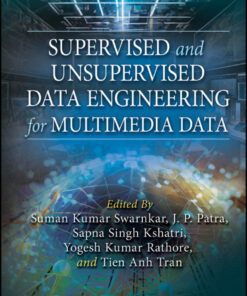 Supervised and Unsupervised Data Engineering for Multimedia Data - 1st Edition