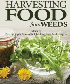 Harvesting Foods from Weeds - 1st Edition