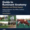 Guide to Ruminant Anatomy: Dissection and Clinical Aspects - 2nd Edition