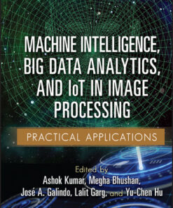 Machine Intelligence, Big Data Analytics, and IoT in Image Processing - 1st Edition