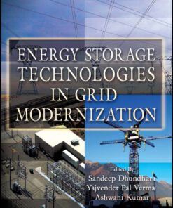 Energy Storage Technologies in Grid Modernization - 1st Edition