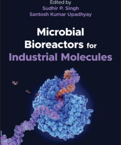Microbial Bioreactors for Industrial Molecules - 1st Edition