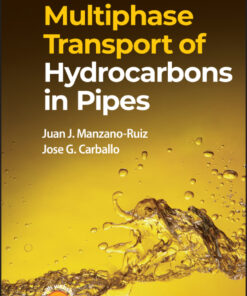 Multiphase Transport of Hydrocarbons in Pipes - 1st Edition