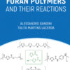 Furan Polymers and their Reactions - 1st Edition