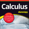 Calculus All-in-One For Dummies (  Chapter Quizzes Online) - 1st Edition