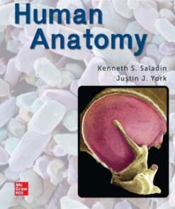 Human Anatomy: 2024 Release