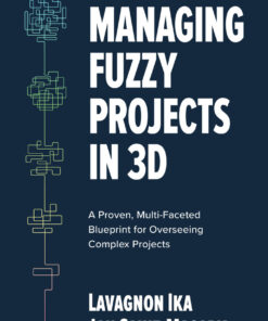 Managing Fuzzy Projects in 3D - 1st Edition