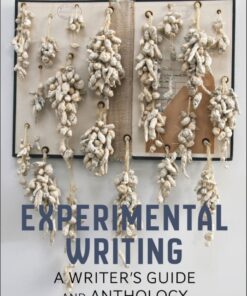 Experimental Writing - 1st Edition