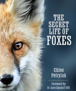 The Secret Life of Foxes
