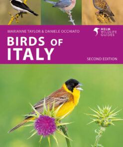 Birds of Italy - 1st Edition