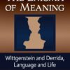 The Enigma of Meaning