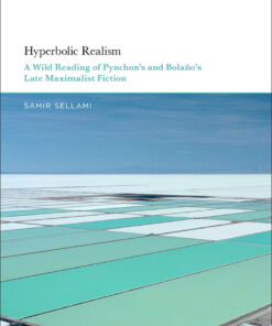 Hyperbolic Realism - 1st Edition