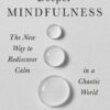 Deeper Mindfulness