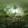 Biotechnology for Waste Biomass Utilization - 1st Edition