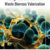 Oleaginous Microbes for Waste Biomass Valorization - 1st Edition