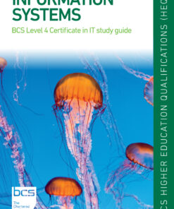 Information Systems - 1st Edition