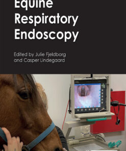 Equine Respiratory Endoscopy