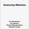 Analyzing Websites - 1st Edition